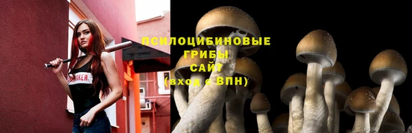 гидра Мегион