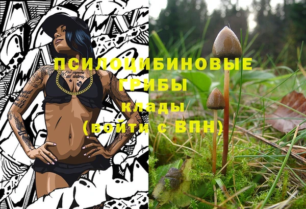 мяу мяу мука Михайлов
