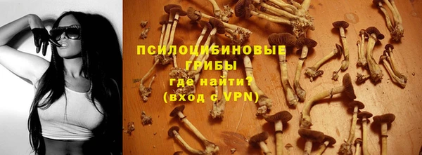 мяу мяу мука Михайлов