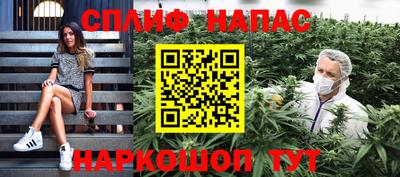 spice Гагарин