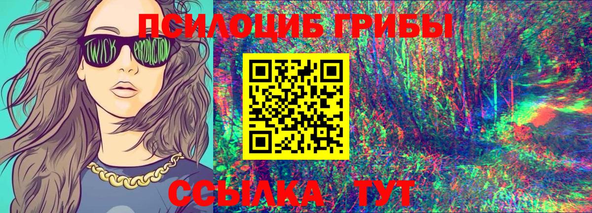 Псилоцибиновые грибы мицелий Черкесск