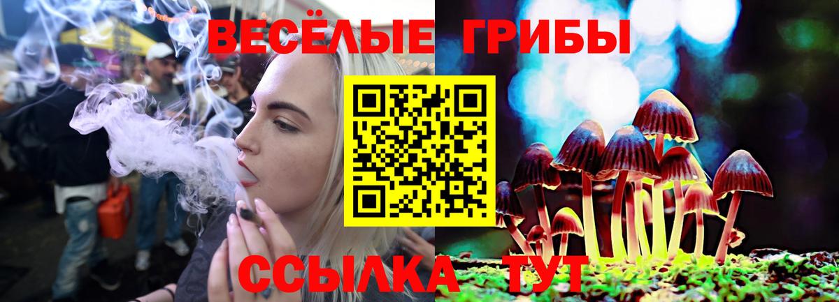 Псилоцибиновые грибы Psilocybine cubensis Черкесск