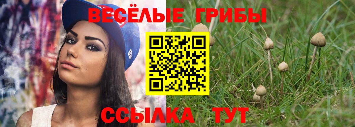 Псилоцибиновые грибы Psilocybine cubensis  Псилоцибиновые грибы Psilocybe  Вход с VPN  Черкесск 