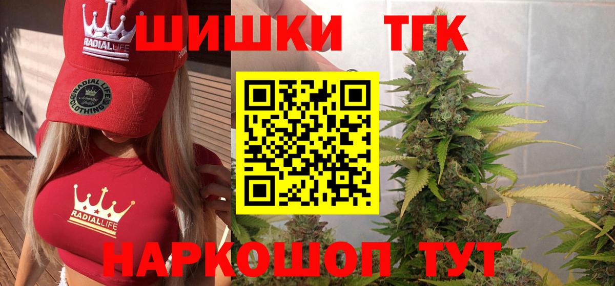 Марихуана план  Черкесск  Конопля OG Kush 